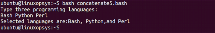 Bash Concatenate String Variables example