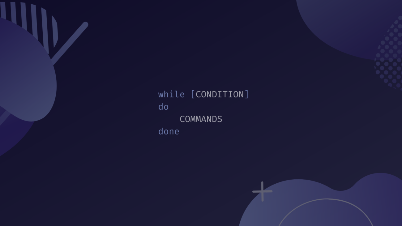 Bash while Loop example