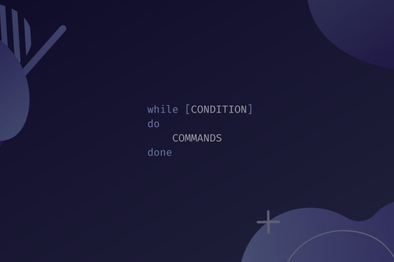 Bash while Loop example