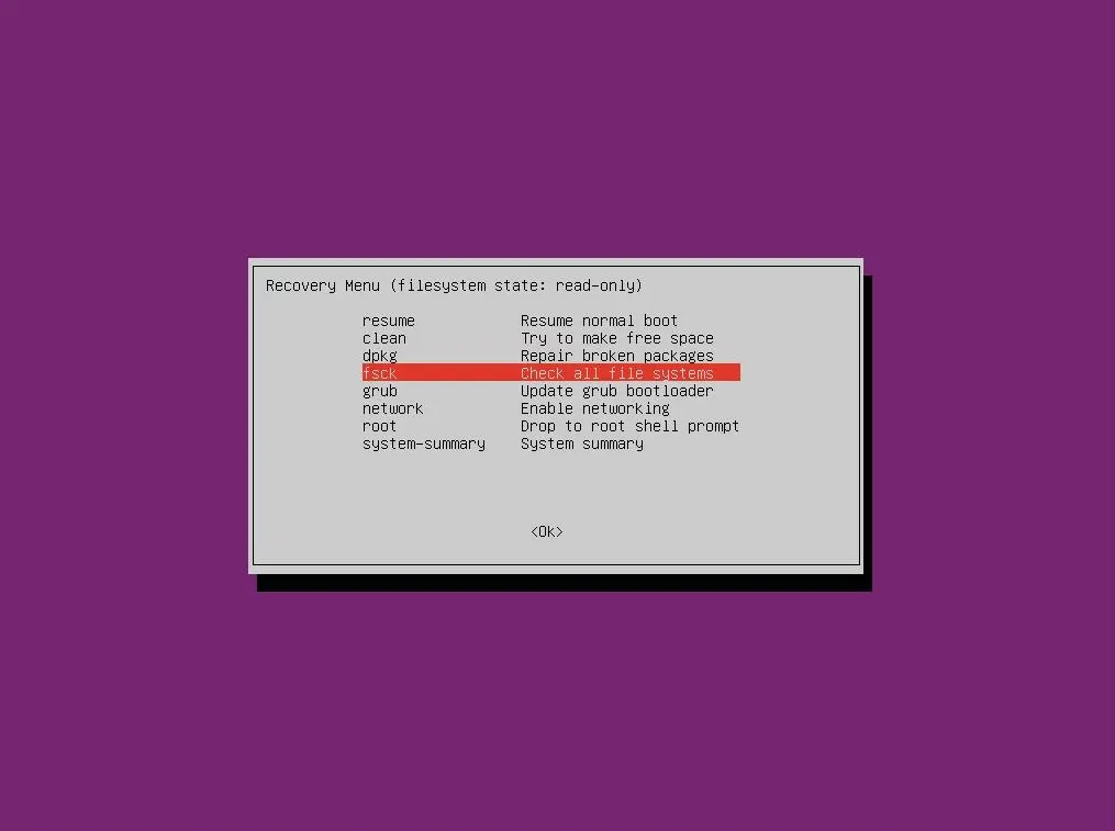 Fsck Command in Linux (Repair Filesystem) example