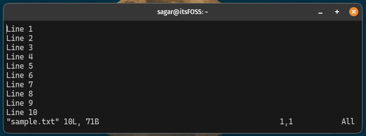 How to Delete Lines in Vim / Vi illustration