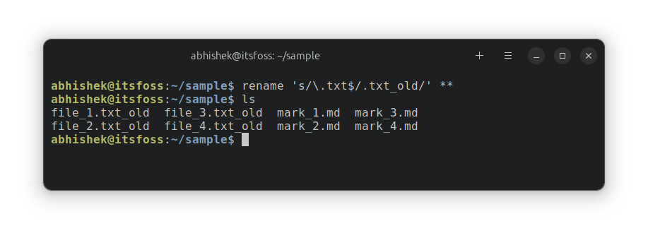 How to Rename Files and Directories in Linux example