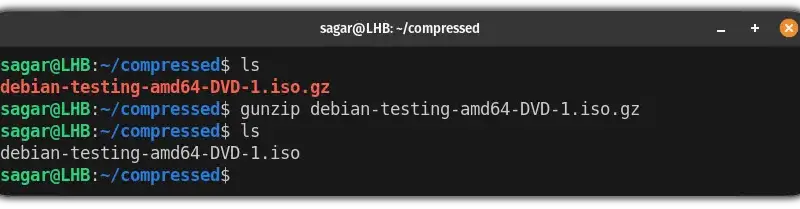 How to Use the gunzip Command in Linux illustration