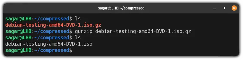 How to Use the gunzip Command in Linux illustration