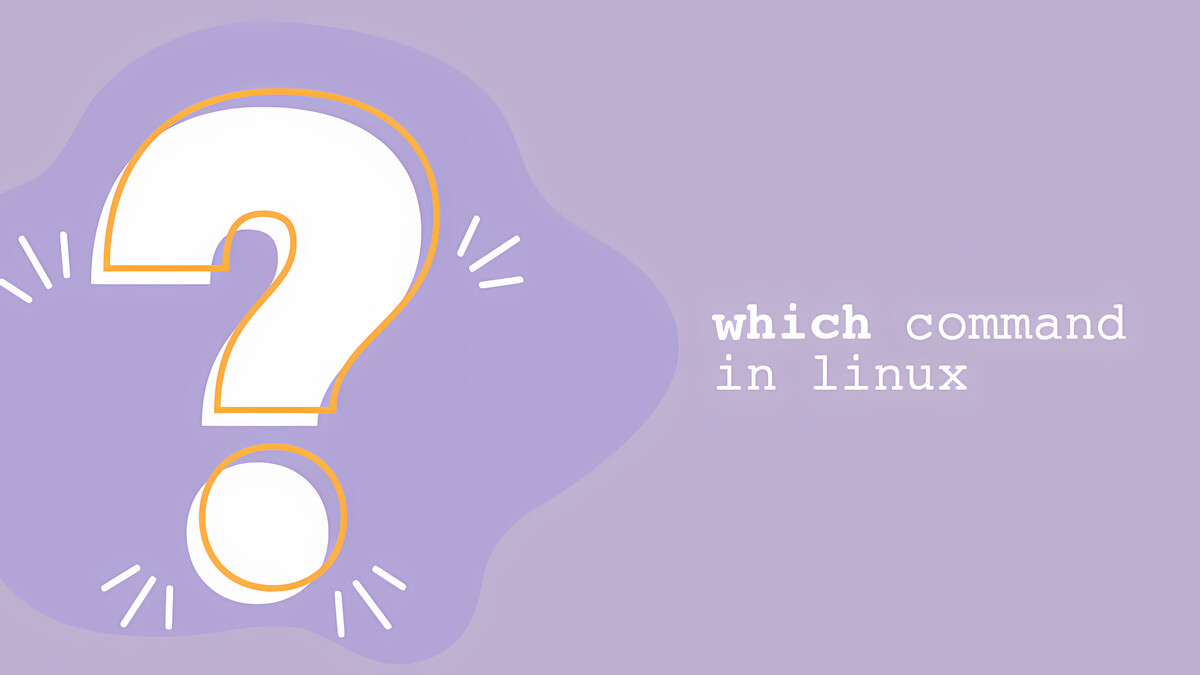 Linux Which Command illustration