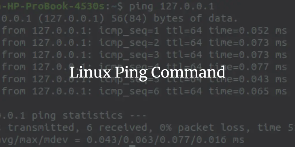 Ping Command in Linux illustration