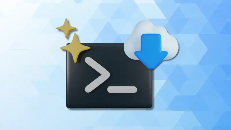 Wget Command in Linux with Examples example