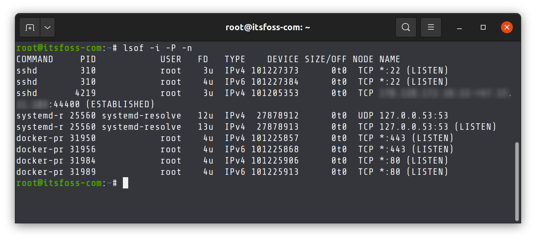 Open Port Engine Essential Steps: Check Open Ports Linux For Network Safety